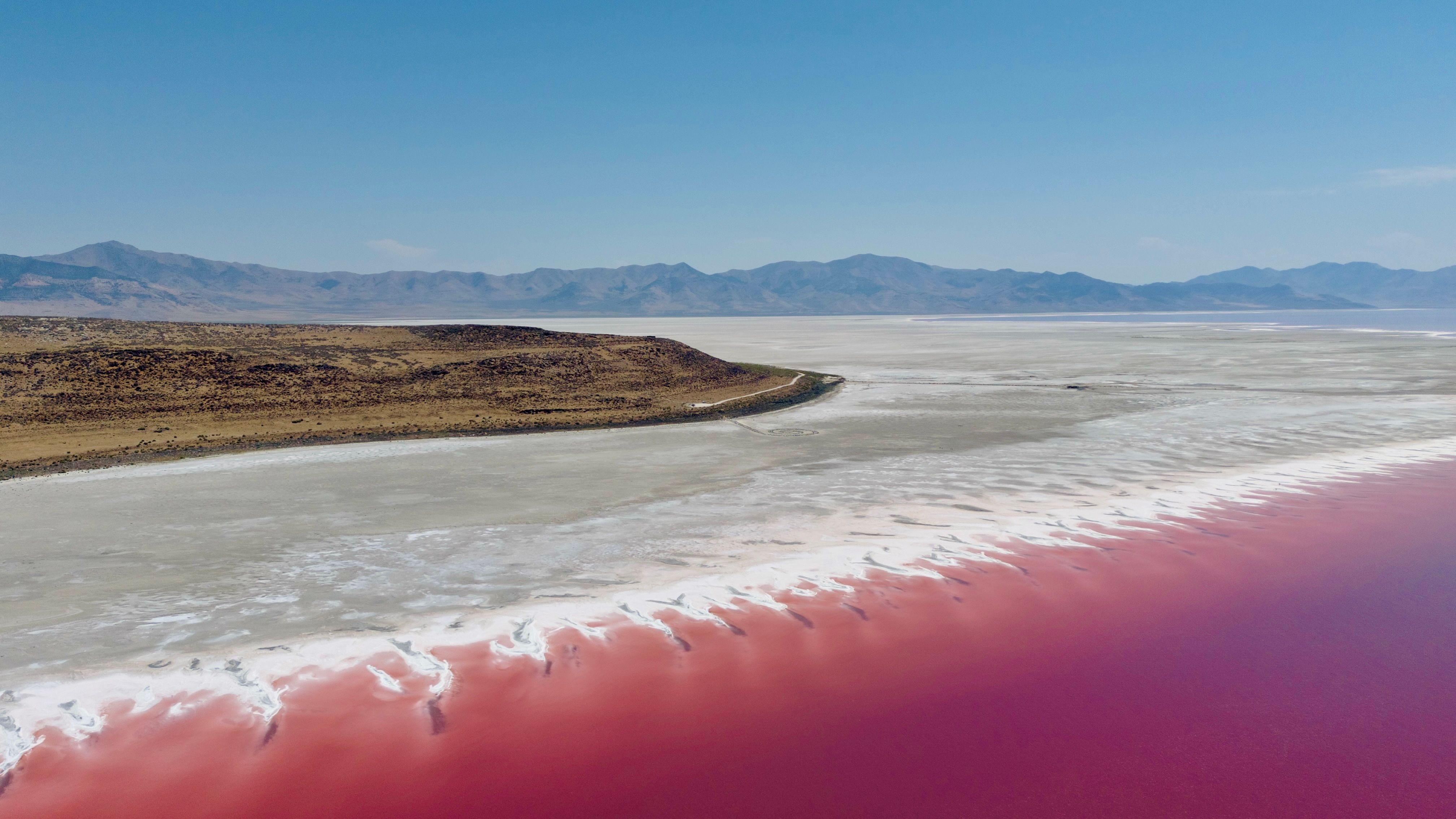 Aerial view of pink brine and white salt flats near the Spiral Jetty