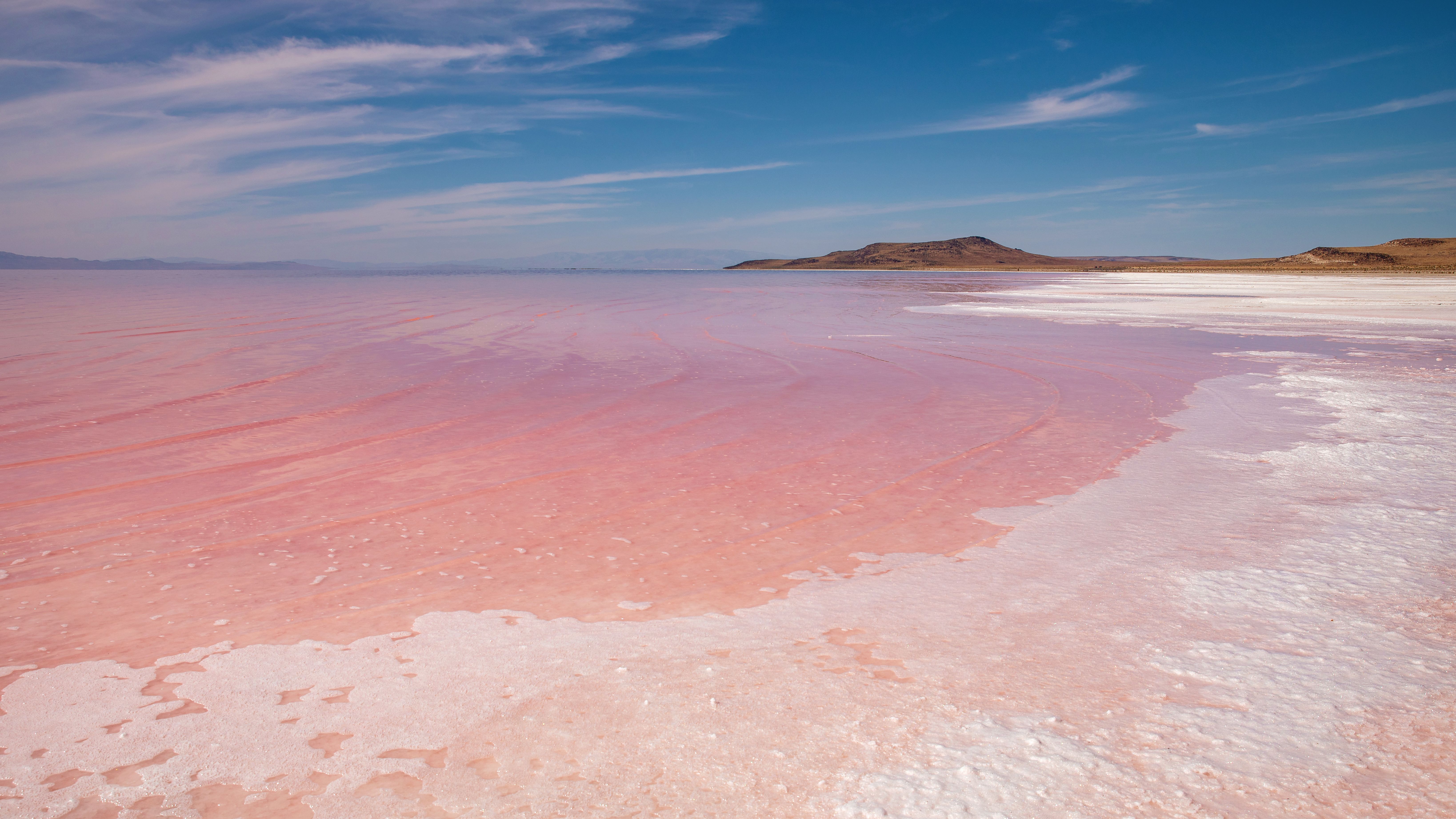 Pink hypersaline brine water meeting white salt crust along the Great Salt Lake shore